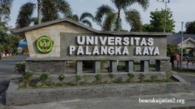 Berbagai Pilihan Universitas Terbaik Di Palangka Raya